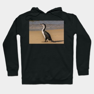 Cormorant Hoodie